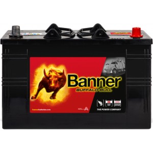 BANNER BUFFALO BULL 110AH 720A R+