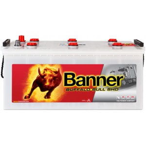 BANNER BUFFALO BULL SHD 225AH 1150A L+