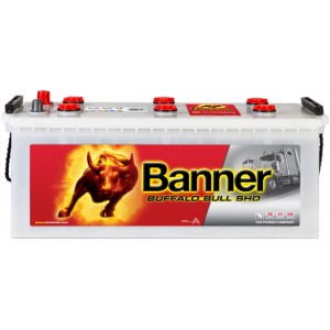 BANNER BUFFALO BULL SHD 140AH 800A L+